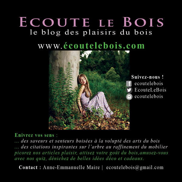 blog-bois-ecoutelebois