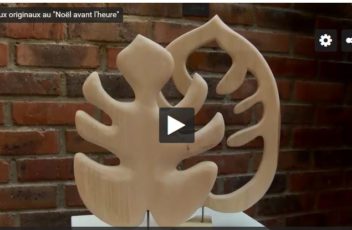 bluebaobab-philodendron-sculpture-CMA95-reportage