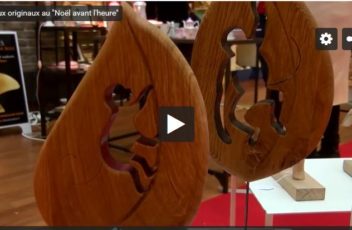 bluebaobab-singes-CMA95-reportage-salon