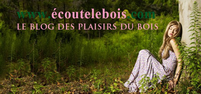 bois et arbre par nos 5 sens - le blog