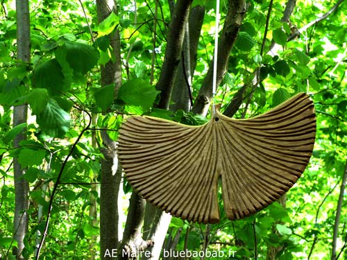 sculpture-jardin-gingko-bluebaobab-AE-Maire